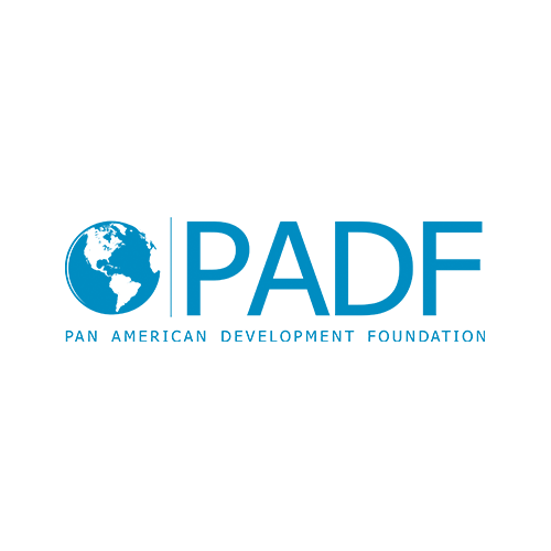Pan American Development Foundation